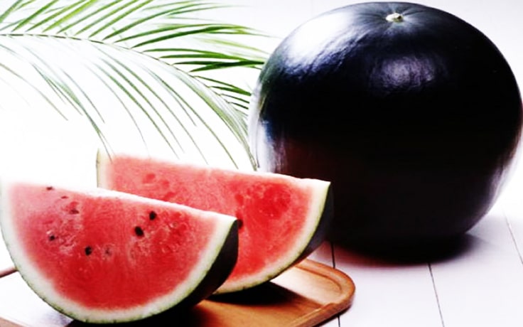 Densuke-Black-Watermelon