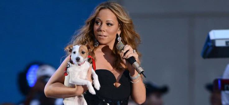 Mariah-Carey-Dog-Spa